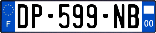 DP-599-NB