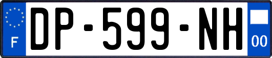 DP-599-NH