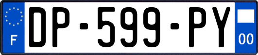 DP-599-PY