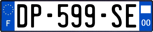 DP-599-SE