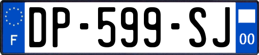 DP-599-SJ