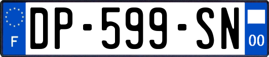 DP-599-SN