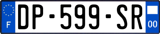 DP-599-SR