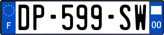 DP-599-SW