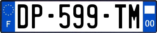 DP-599-TM