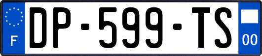 DP-599-TS