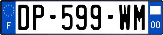 DP-599-WM