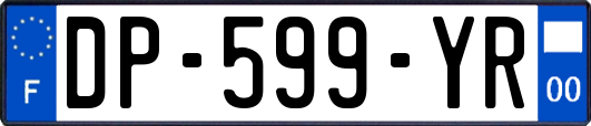 DP-599-YR