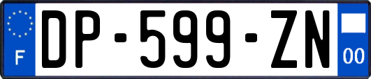 DP-599-ZN