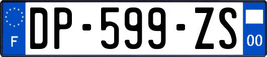 DP-599-ZS