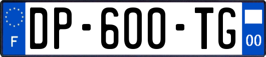 DP-600-TG