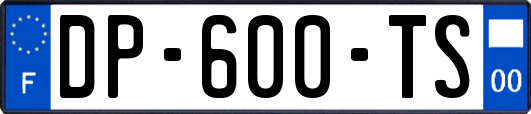 DP-600-TS