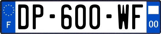 DP-600-WF