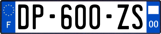 DP-600-ZS