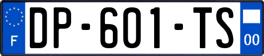 DP-601-TS