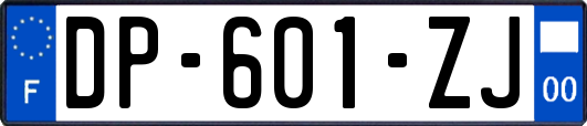 DP-601-ZJ