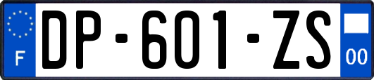 DP-601-ZS