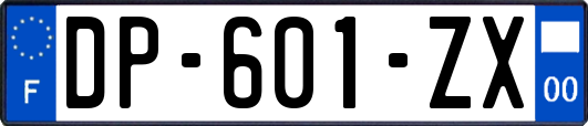 DP-601-ZX