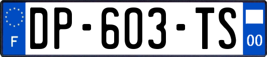 DP-603-TS