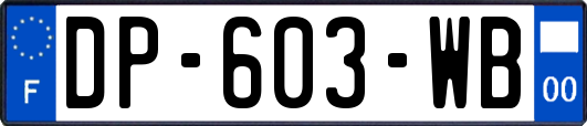 DP-603-WB