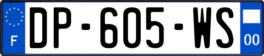 DP-605-WS