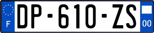 DP-610-ZS