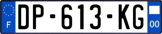 DP-613-KG