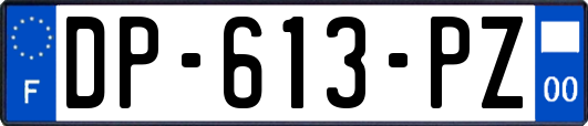 DP-613-PZ