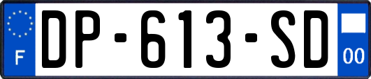 DP-613-SD