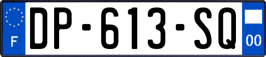 DP-613-SQ