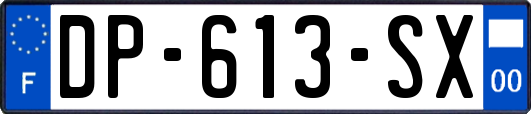 DP-613-SX