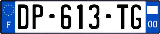 DP-613-TG