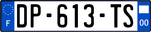 DP-613-TS