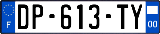 DP-613-TY