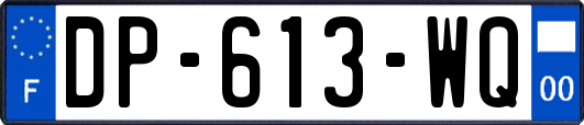 DP-613-WQ