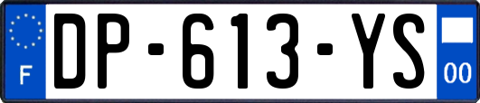 DP-613-YS