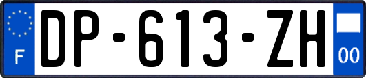 DP-613-ZH