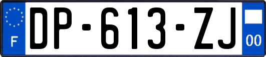 DP-613-ZJ