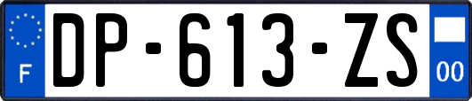 DP-613-ZS