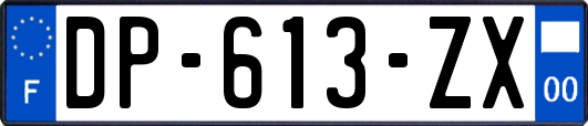 DP-613-ZX