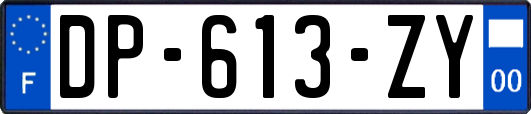 DP-613-ZY