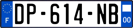 DP-614-NB