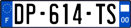 DP-614-TS