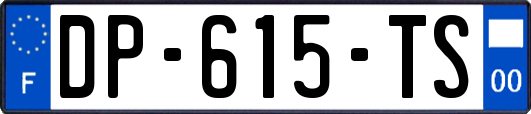 DP-615-TS