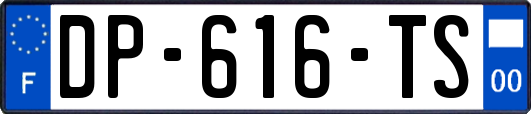 DP-616-TS