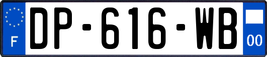 DP-616-WB