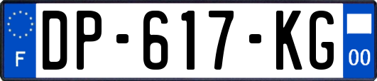 DP-617-KG