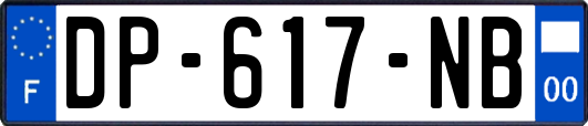 DP-617-NB