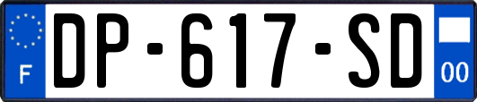 DP-617-SD