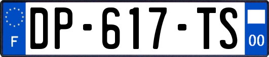 DP-617-TS